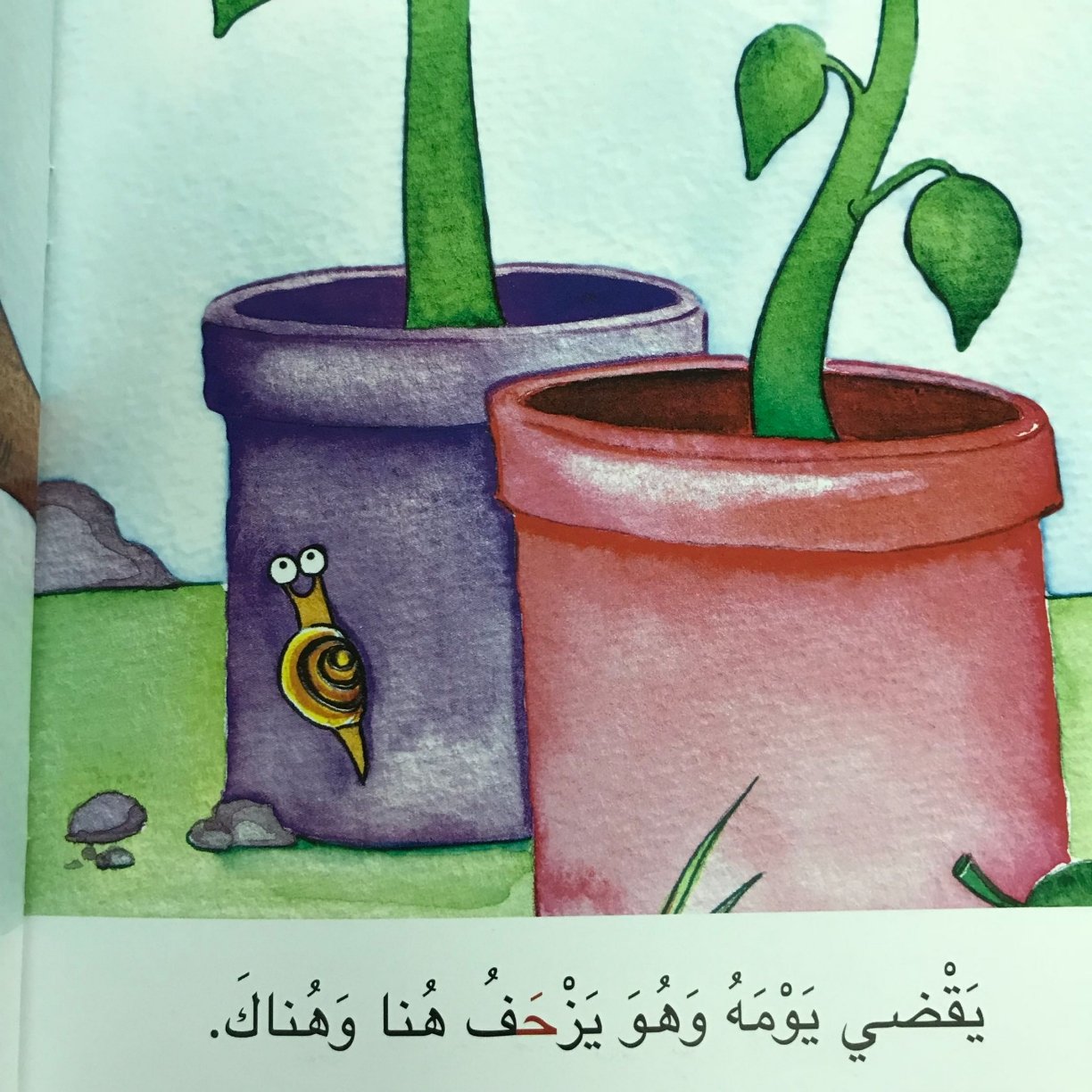 حكاية حرف الحاء: حلزون وجد صديقًا حكاية حرف الحاء: حلزون وجد صديقًا