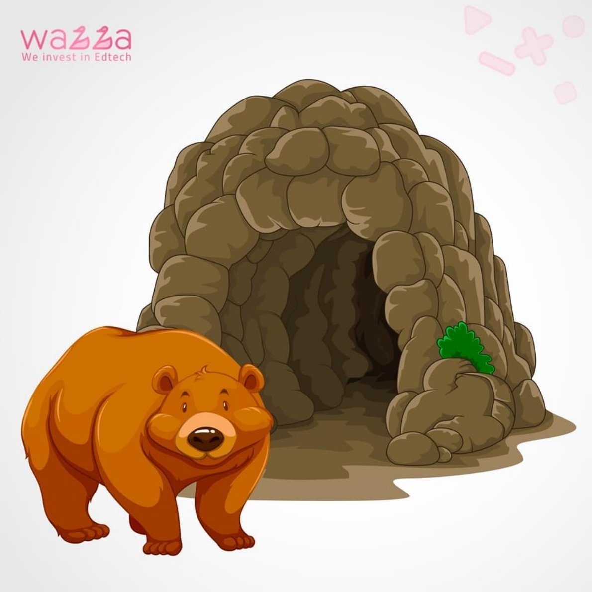 جولة في بيوت الحيوانات: رحلة استكشافية رائعة