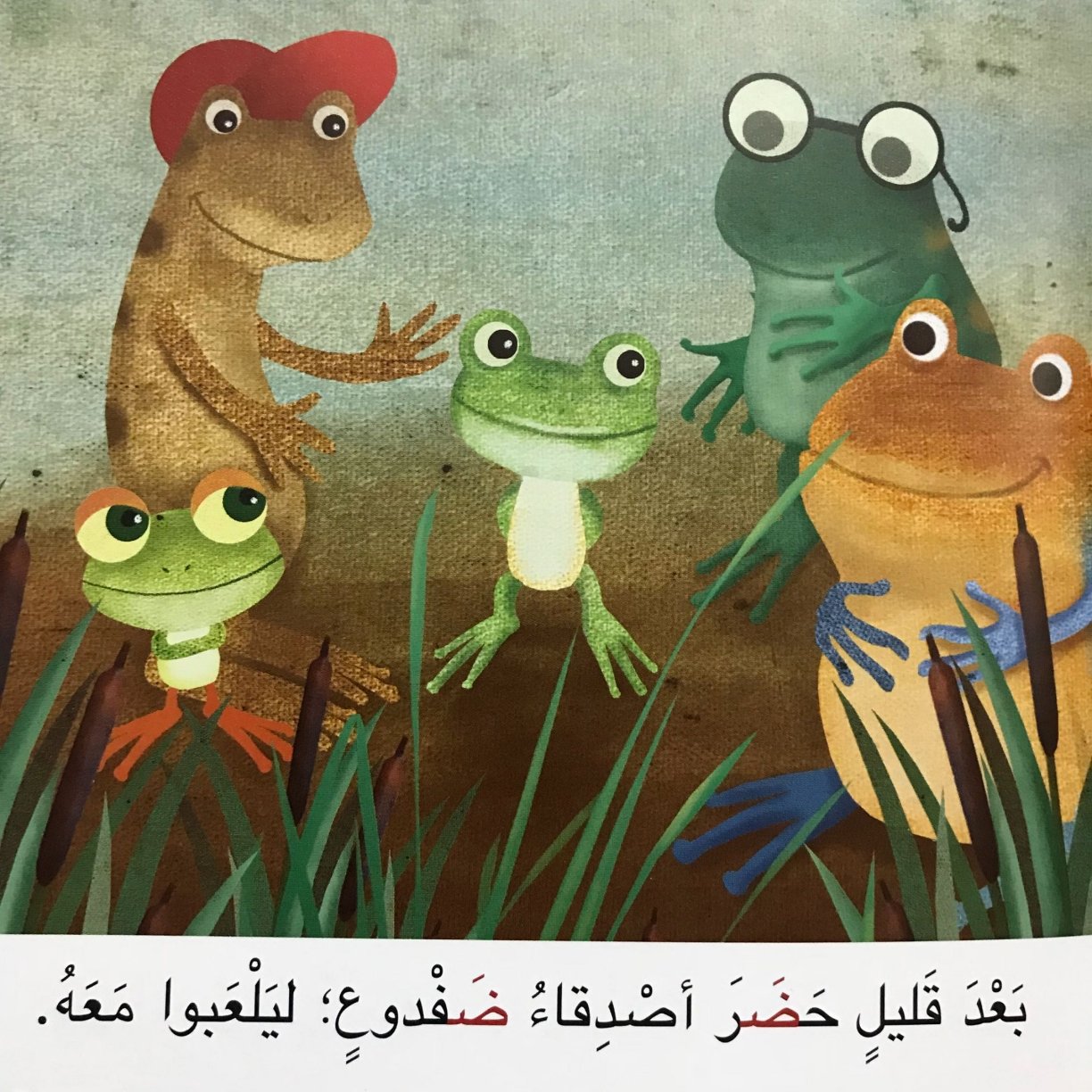 قصة حرف الضاد: ضفدع يضيع في الضباب