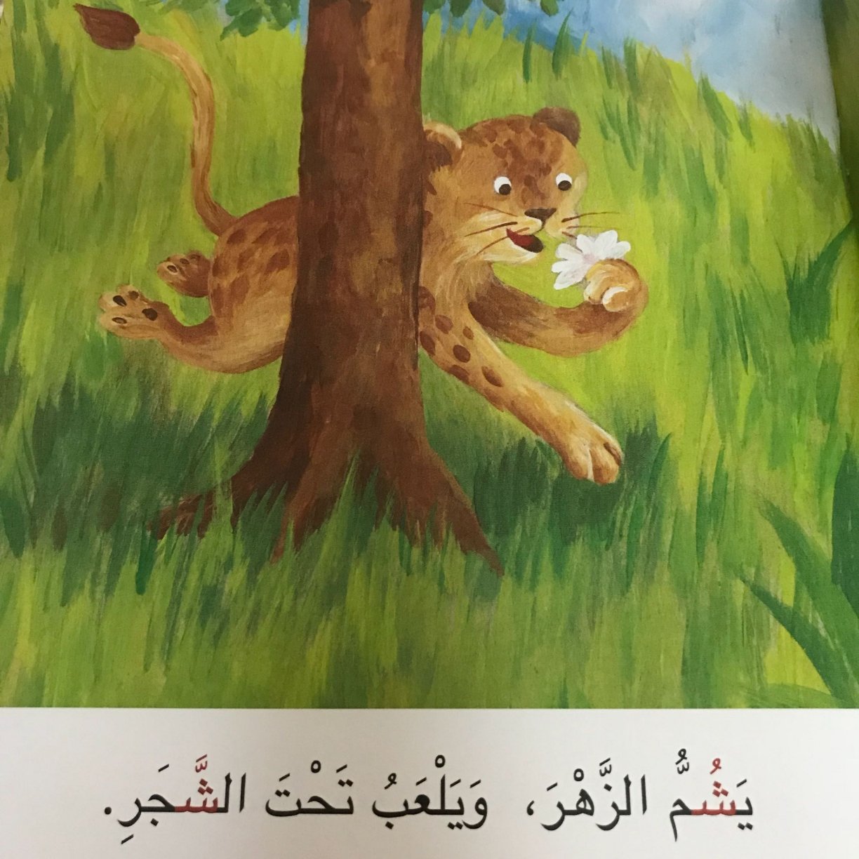 شوشو والشبكة الذهبية: حكاية حرف الشين