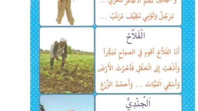 قطع قراءة مصورة بالتشكيل