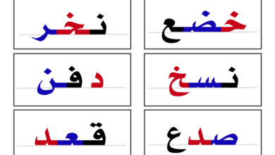 بطاقات الكلمات الثلاثية رحلة القراءة الممتعة – تحميل مباشر مجاني PDF