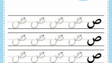 ورقة عمل كتابة حرف الصاد للاطفال