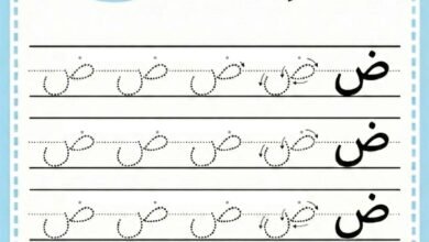 ورقة عمل كتابة حرف الضاء للاطفال