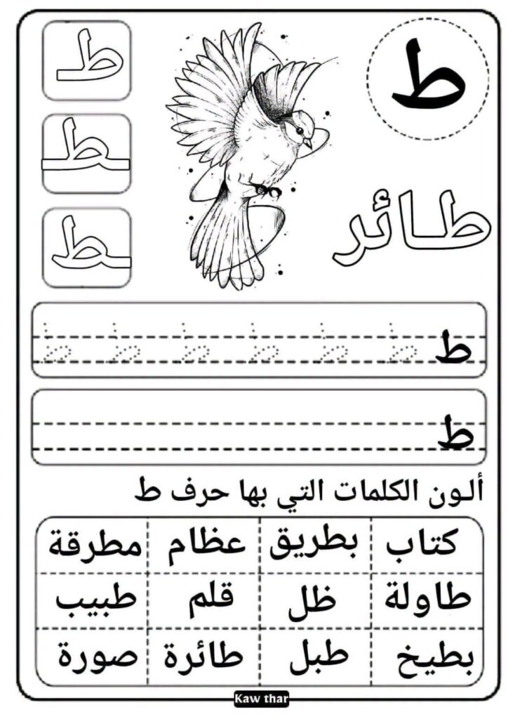 ورقة عمل حرف الطاء للتتبع والكتابة وتلوين الكلمات التي تحتوي على الحرف