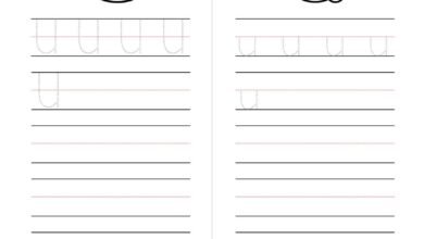من التتبع إلى الكتابة: أوراق تدريب الحروف الإنجليزية للأطفال من A إلى Z PDF