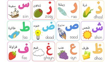 بوستر الحروف العربية بالكلمات والصور والنطق بالإنجليزية PDF