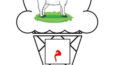 استراتيجية النصف والنصف الآخر للحروف الهجائية PDF