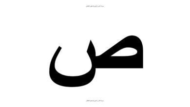 تعليم حرف الصاد للأطفال بالكلمات والصور PDF