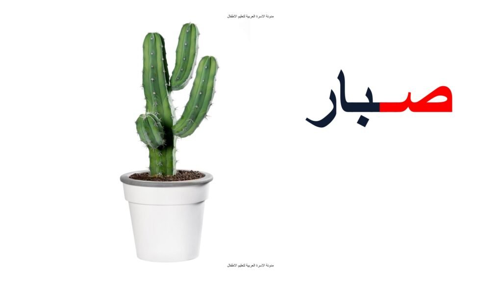 تعليم حرف الصاد للأطفال بالكلمات والصور PDF