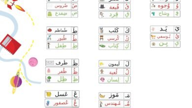 بطاقات الحروف العربية بالحركات الثلاث مع كلمات مصورة من الشين إلى الياء PDF