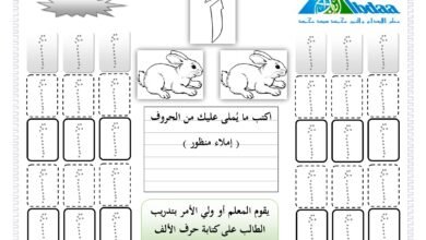 كراسة تتبع وكتابة الحروف العربية مع الإملاء المنظور والاختباري PDF
