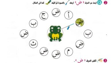 كراسة الحروف العربية من الضاد إلى الياء بالتلوين والتتبع PDF