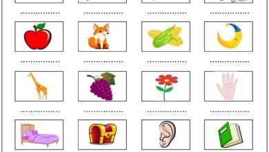 ورقة عمل اكتب الحرف الأول من اسم الصورة PDF