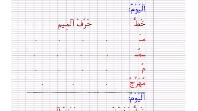 ملزمة الخط والنسخ للحروف العربية والكلمات والجمل PDF