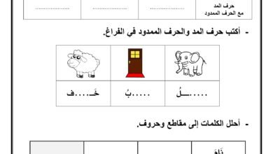 أوراق عمل المد والممدود بالألف والواو والياء PDF