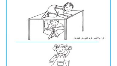 كتاب الرياضيات للتحضيري PDF | تعلماتي الأولى للأطفال من 5 إلى 6 سنوات