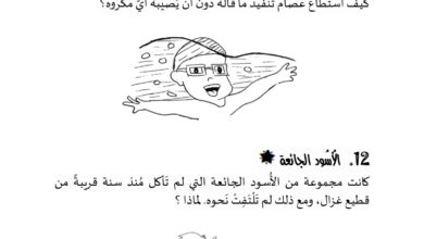 تحميل كتاب ألغاز مجنونة PDF | 200 لغز في المنطق والتفكير المبدع