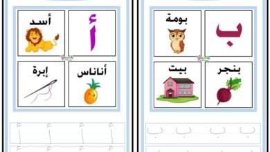 كراسة كتابة الحروف العربية من الألف إلى الياء بالصور والتتبع PDF