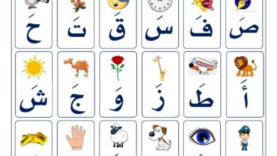 أوراق عمل قراءة الحروف العربية المصورة والمجردة والمتصلة مع التقييم PDF
