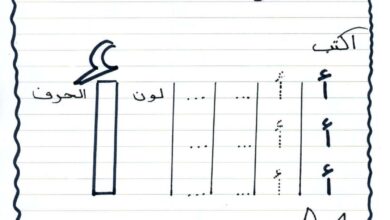 تحميل مذكرة تأسيس الحروف العربية للأطفال PDF | تعلم القراءة والكتابة من الألف إلى الياء
