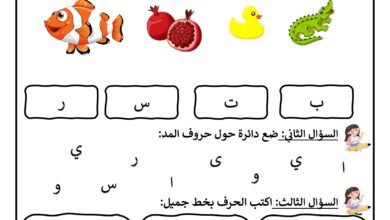 اختبار تشخيصي لغة عربية للأطفال في الحروف وحروف المد والكتابة PDF