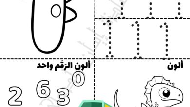 تحميل كتاب أرض الأرقام ديناصورات للأطفال PDF | تعلم الأرقام من 1 إلى 10 بالتلوين والتتبع
