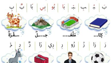تحميل كراس استرجاع المكتسبات في اللغة العربية للسنة الأولى ابتدائي PDF