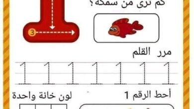 أوراق عمل الأرقام من 1 إلى 9 للأطفال بالعد والتتبع والتلوين PDF