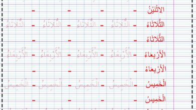 تحميل ورقة عمل كتابة أيام الأسبوع بالعربية PDF | تتبع الأيام السبعة