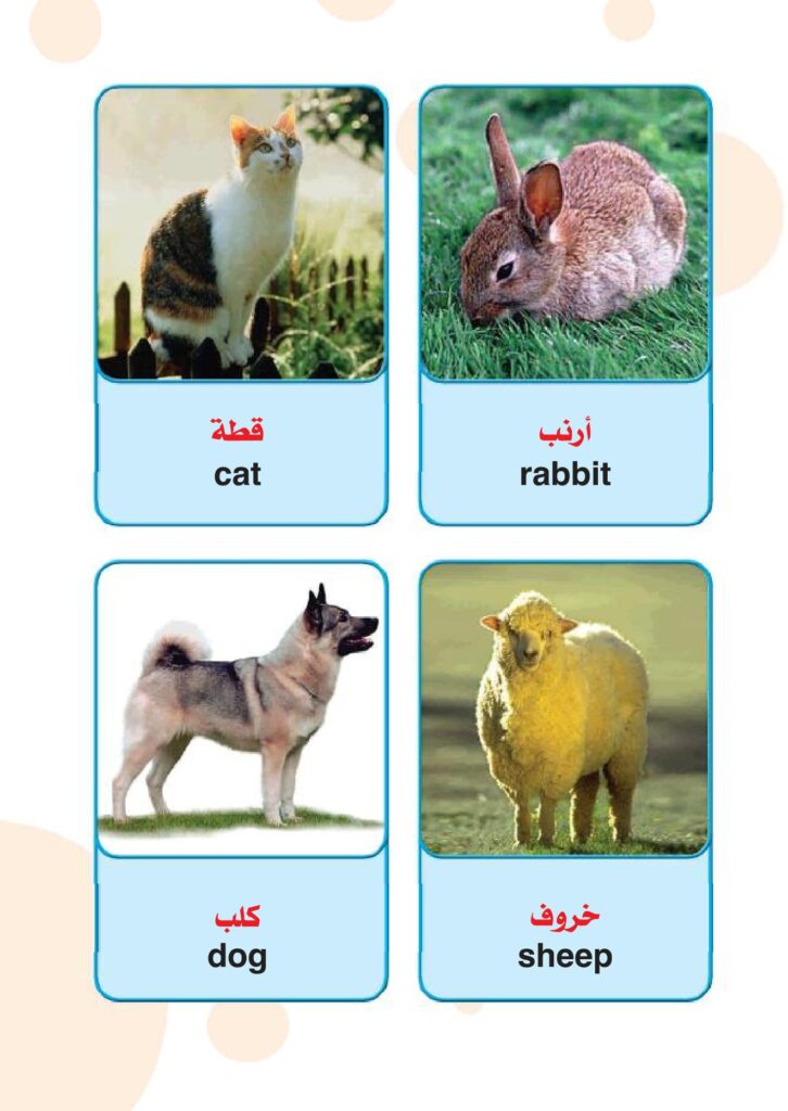 تحميل أسماء الحيوانات باللغة الإنجليزية للأطفال PDF | 24 بطاقة مصورة