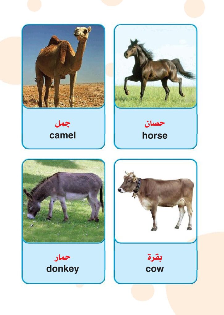 تحميل أسماء الحيوانات باللغة الإنجليزية للأطفال PDF | 24 بطاقة مصورة