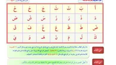 الرزم التعليمية لإتقان القراءة العربية بالحركات والسكون والمدود والشدة PDF