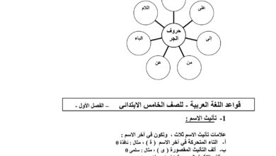 تحميل المختصر في دروس القواعد والإملاء للمرحلة الابتدائية PDF