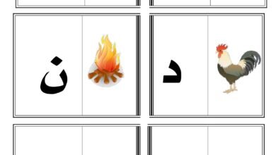 برنامج علاجي لحروف الوحدة الأولى م ب ل د ن ر بالحركات والمدود للصف الأول PDF
