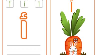 بطاقات حروف الهجاء للأطفال PDF | بطاقات تعليمية للقراءة والكتابة
