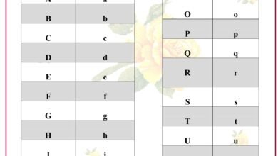 مذكرة تأسيس اللغة الإنجليزية للأطفال KG وأولى ابتدائي بالحروف والكلمات والأرقام PDF