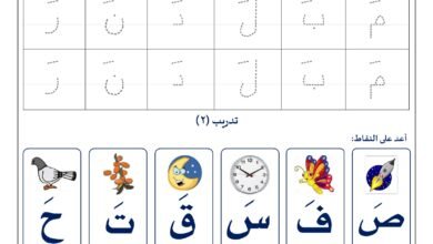 تدريبات شاملة على كتابة وقراءة الحروف العربية PDF
