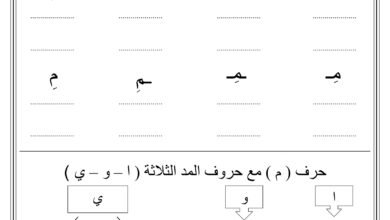 تدريبات كتابة الحروف العربية وأشكالها مع حروف المد والتقييم PDF
