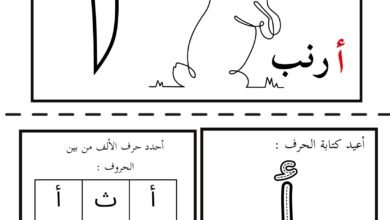 تمارين الحروف العربية من الألف إلى الذال بالتلوين والتمييز والتتبع PDF