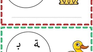 أوراق عمل رتب الحروف واكتب الكلمات المصورة من الألف إلى الياء PDF