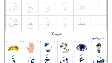 أوراق عمل تتبع وكتابة الحروف الهجائية المجردة والمتصلة مع التقييم PDF