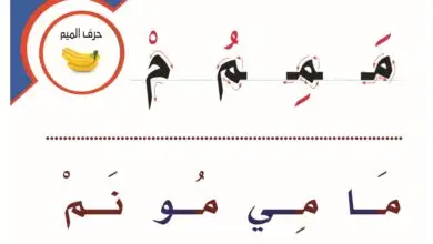 سبورتي العجيبة لتعليم الحروف بالحركات القصيرة والطويلة واتجاه الكتابة PDF