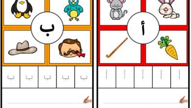 بطاقات الحروف العربية المصورة بالتتبع والكتابة PDF