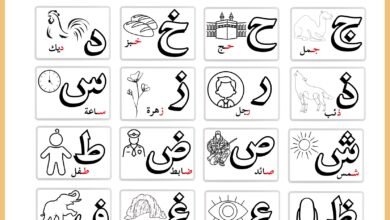 مذكرة الكلمات الثلاثية للمستوى المتقدم بالتحليل والنسخ وإكمال الحروف PDF