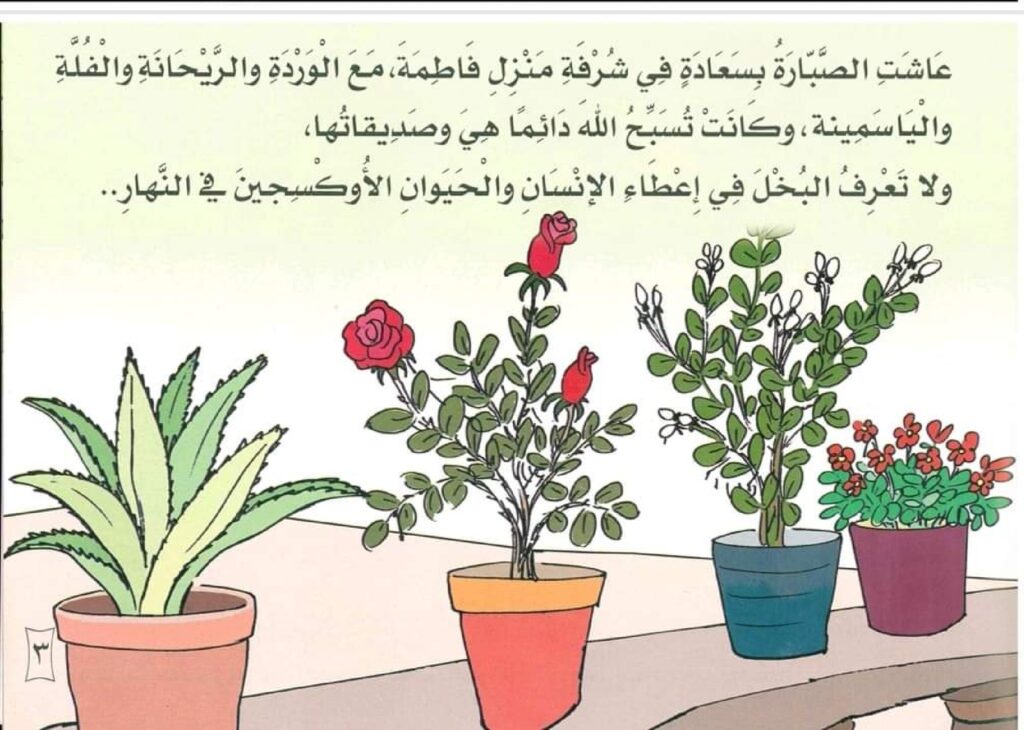 قصة نبتة الصبار القوية للأطفال PDF | قصة تربوية عن الثقة بالنفس وعدم الحكم بالمظهر