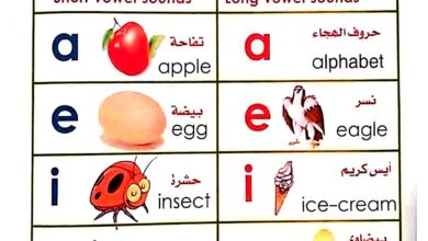 كتاب شرح حروف العلة في اللغة الإنجليزية PDF – Vowels والحروف المركبة بالنطق والصور
