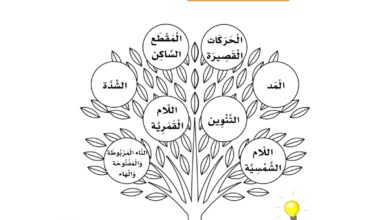 تدريبات الحركات والمد والتنوين والشدة واللام الشمسية والقمرية