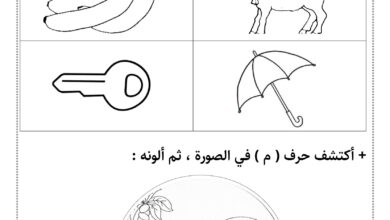 تحميل أوراق عمل الحروف العربية PDF | 84 صفحة تدريبية