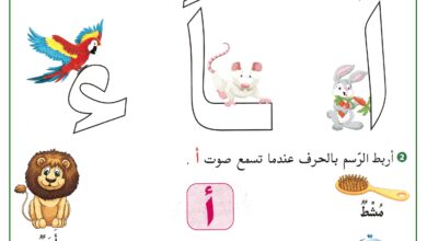 تحميل أوراق عمل الحروف العربية PDF | تدريبات من الألف إلى الذال